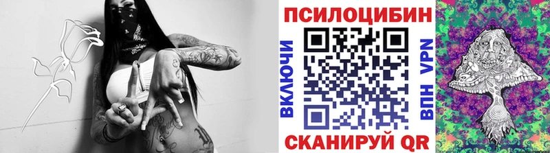 Псилоцибиновые грибы Magic Shrooms  Сосновка 