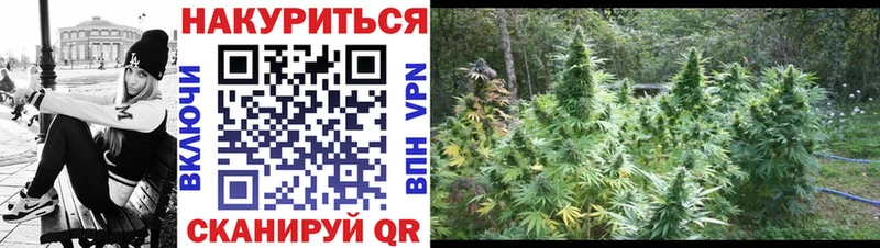 Бошки Шишки марихуана Сосновка